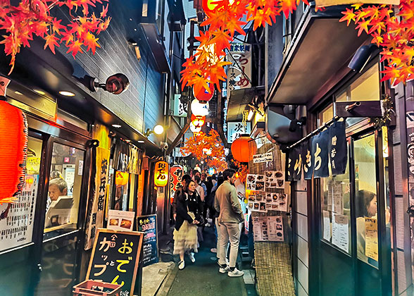 Omoide Yokocho Alley