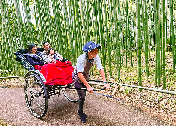 Arashiyama Bamboo Forest