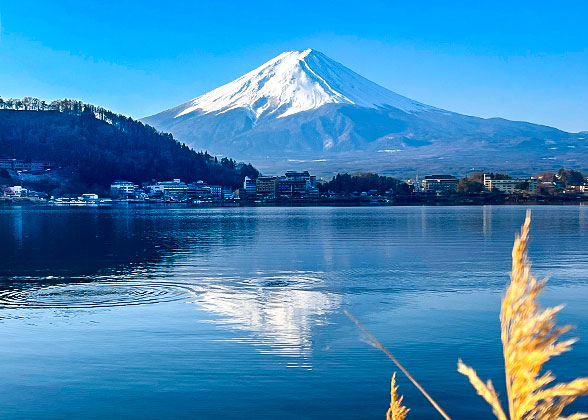 Mt. Fuji