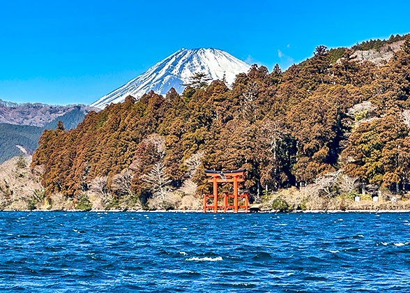 Visit Mt. Fuji