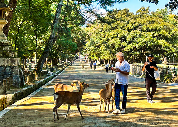 Nara Park