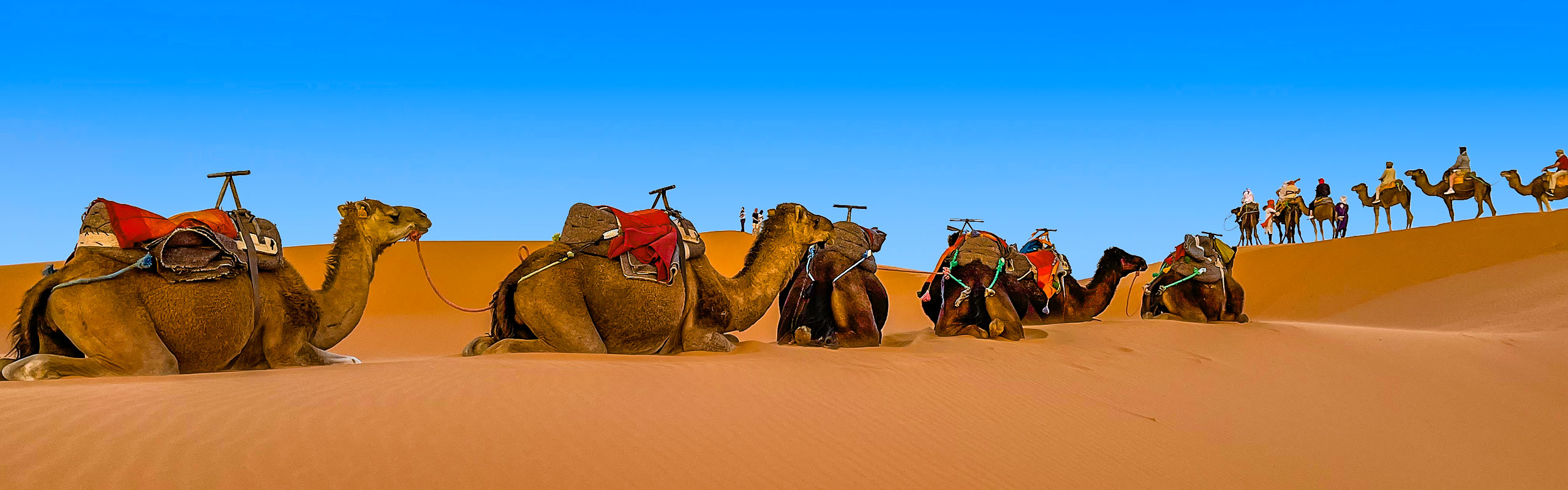 Sahara Desert Morocco