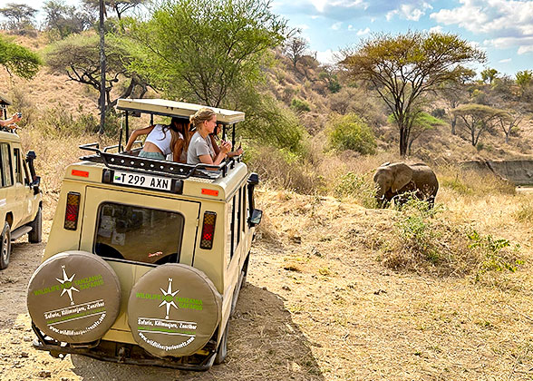 Game Drive in Amboseli National Park