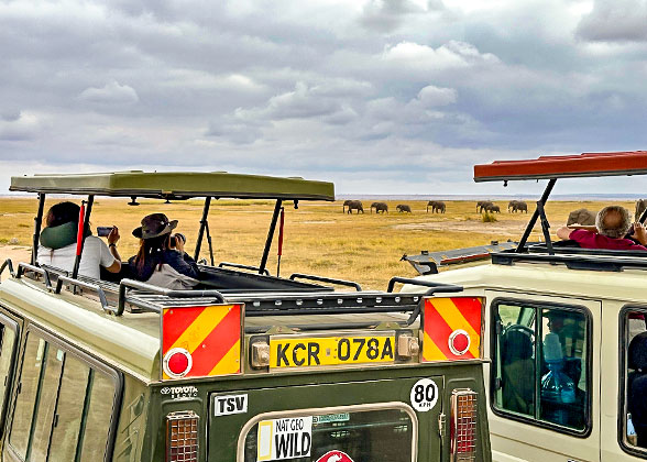 Game Drive in Amboseli National Park