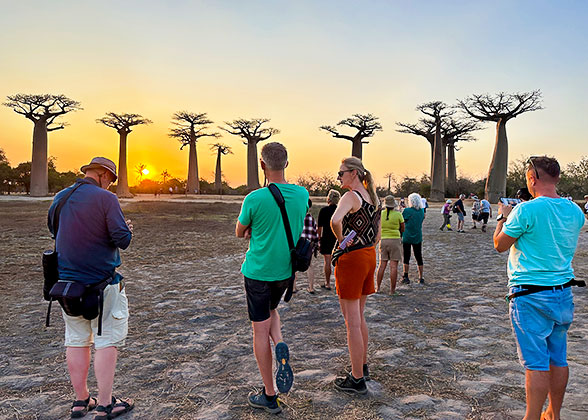 Avenue of the Baobabs