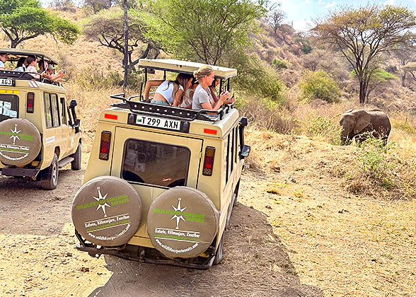 Safari by the Pop-up Roof Safari Vehicle