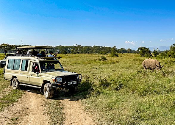 Game Drive in the Reserve