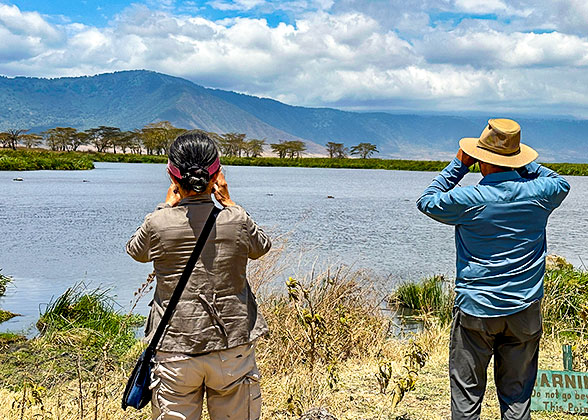 Tour of Ngorongoro Crater