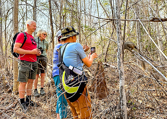 Hike in the Kirindy Forest