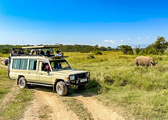 Game Drive in the Lake Nakuru National Park