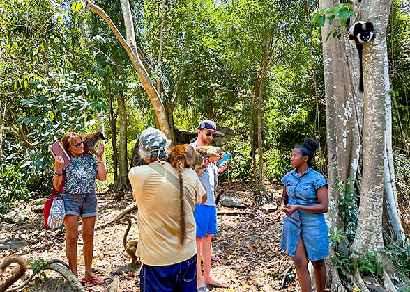 Lemurs Encounter in Andasibe