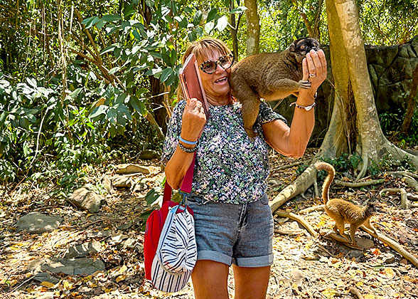 Enjoy Close Contact with Lemurs 