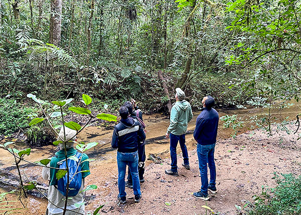 Ranomafana National Park