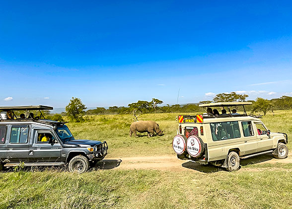 Game Drive in the Reserve