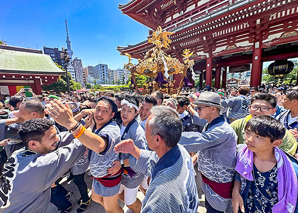 Sanja Festival at Senso-ji Temple, Tokyo