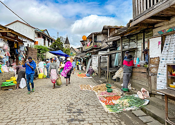 Village and Market of Andasibe